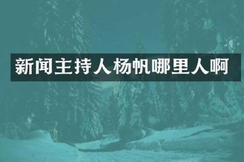 新闻主持人杨帆哪里人啊