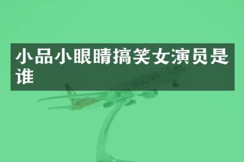 小品小眼睛搞笑女演员是谁