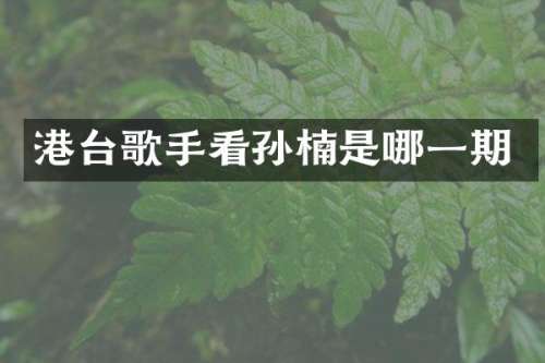 港台歌手看孙楠是哪一期