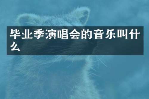 毕业季演唱会的音乐叫什么