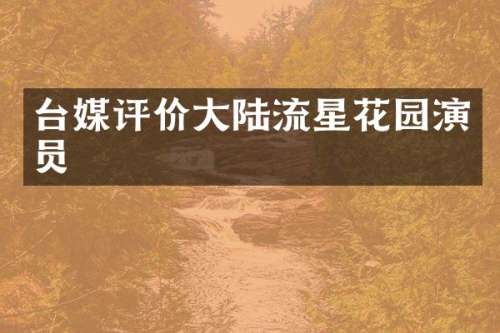 台媒评价大陆流星花园演员