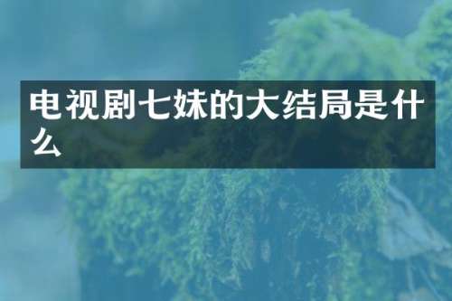 电视剧的大结局是什么