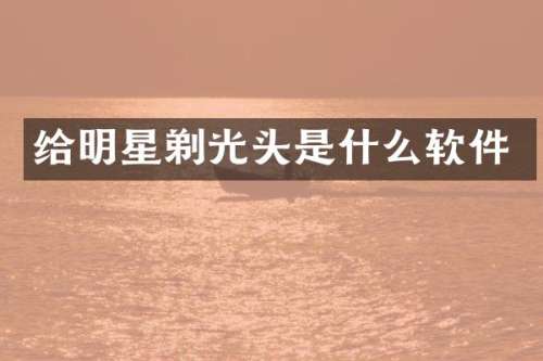 给明星剃光头是什么软件