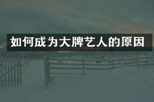 如何成为大牌艺人的原因