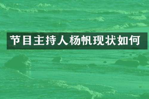 节目主持人杨帆现状如何