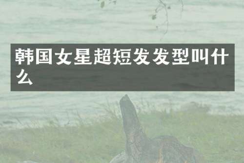 韩国女星超短发发型叫什么