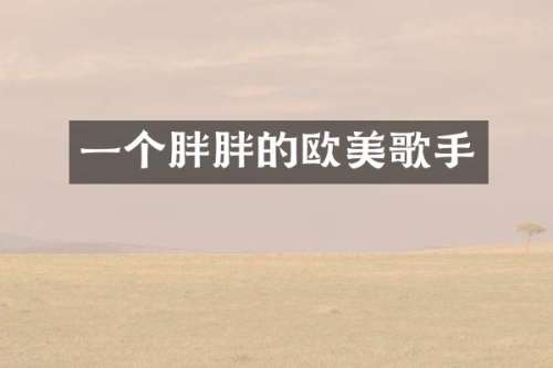 一个胖胖的欧美歌手