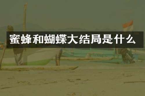 蜜蜂和蝴蝶大结局是什么