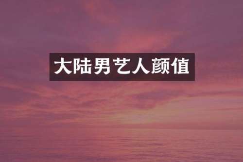 大陆男艺人颜值