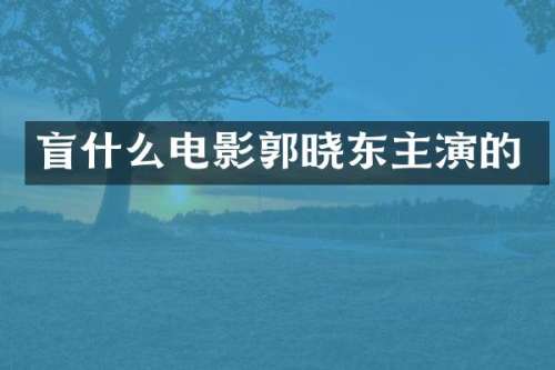 盲什么电影郭晓东主演的