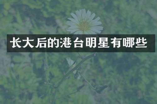 长大后的港台明星有哪些