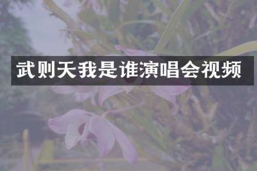 武则天我是谁演唱会视频