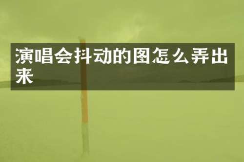 演唱会抖动的图怎么弄出来