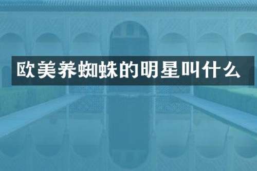 欧美养蜘蛛的明星叫什么