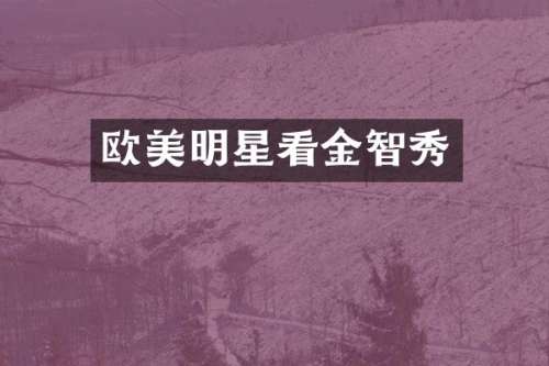 欧美明星看金智秀