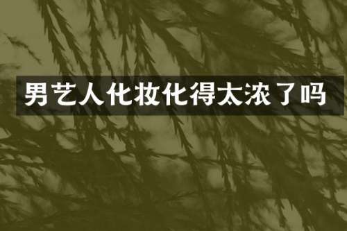 男艺人化妆化得太浓了吗
