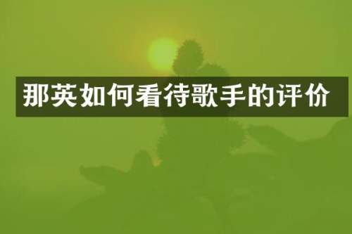那英如何看待歌手的评价