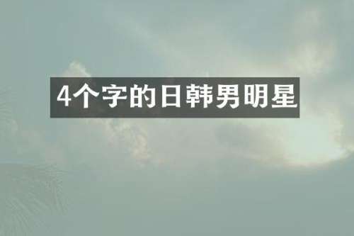 4个字的日韩男明星