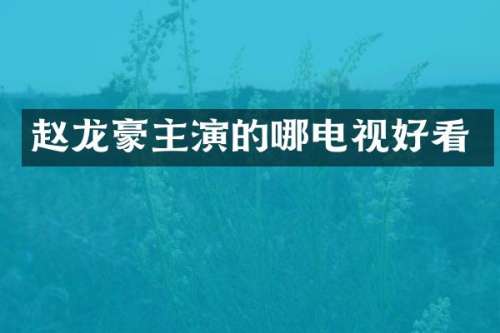 赵龙豪主演的哪电视好看