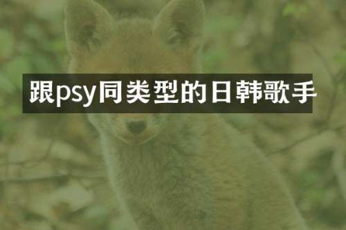 跟psy同类型的日韩歌手