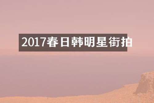 2017春日韩明星街拍