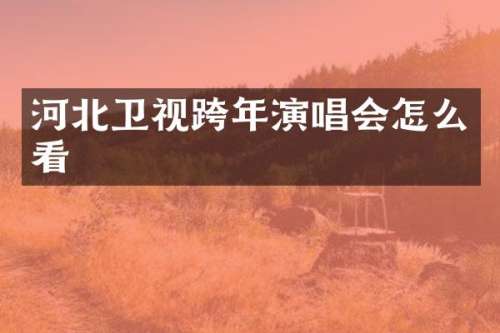 河北卫视跨年演唱会怎么看