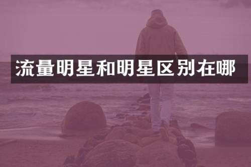 流量明星和明星区别在哪