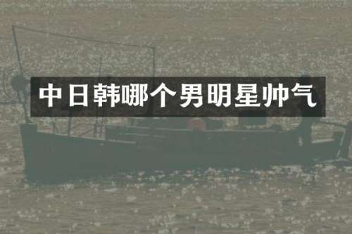 中日韩哪个男明星帅气