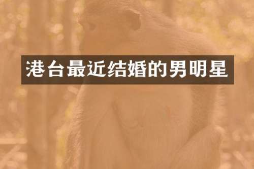 港台最近结婚的男明星