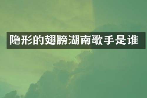 隐形的翅膀湖南歌手是谁