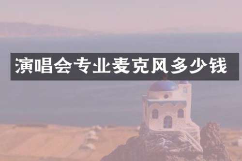 演唱会专业麦克风多少钱