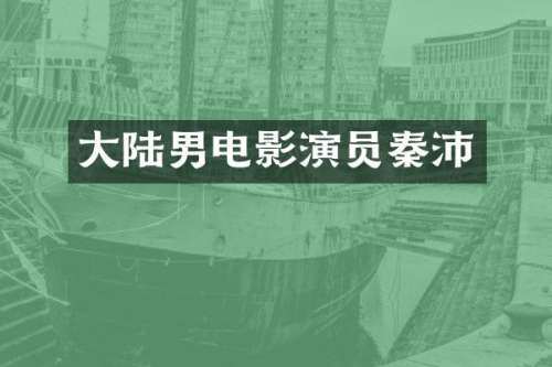 大陆男电影演员秦沛