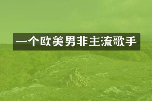 一个欧美男非主流歌手