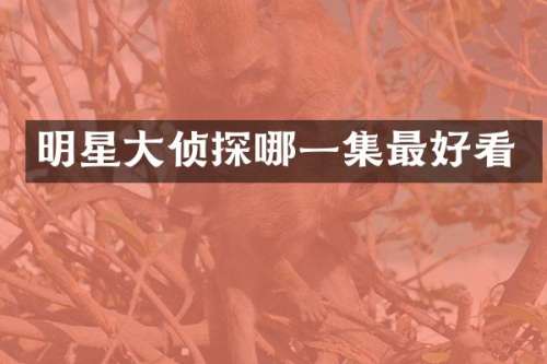 明星大侦探哪一集最好看