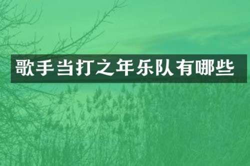 歌手当打之年乐队有哪些