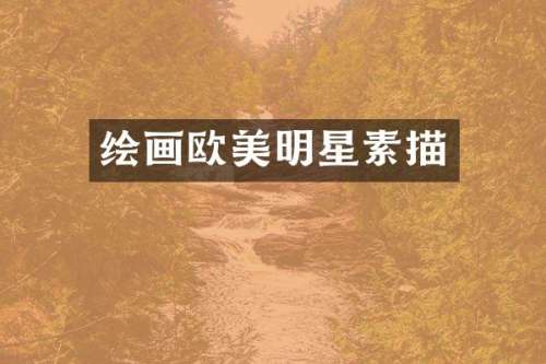 绘画欧美明星素描