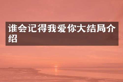 谁会记得我爱你大结局介绍