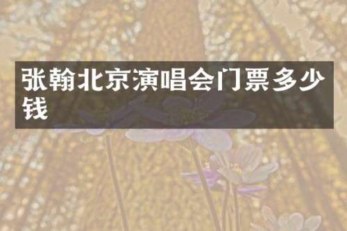 张翰北京演唱会门票多少钱