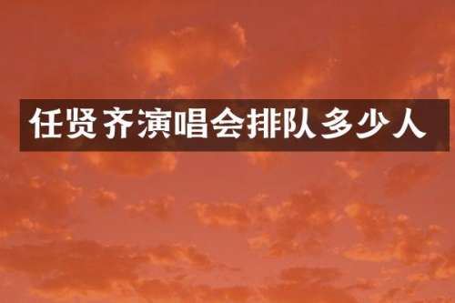 任贤齐演唱会排队多少人