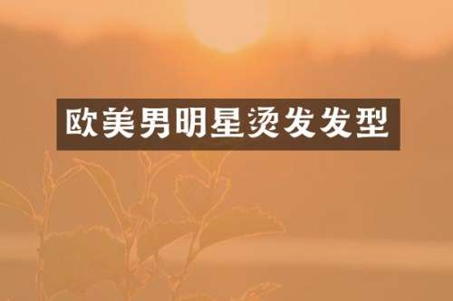 欧美男明星烫发发型
