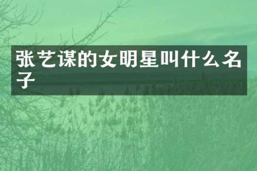 张艺谋的女明星叫什么名子