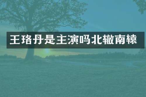 王珞丹是主演吗北辙南辕