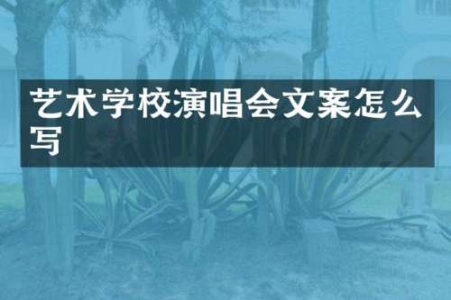 艺术学校演唱会文案怎么写