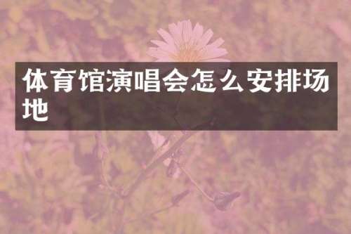 体育馆演唱会怎么安排场地
