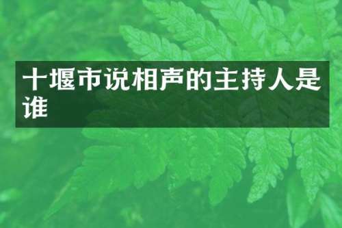 十堰市说相声的主持人是谁