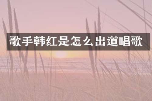 歌手韩红是怎么出道唱歌