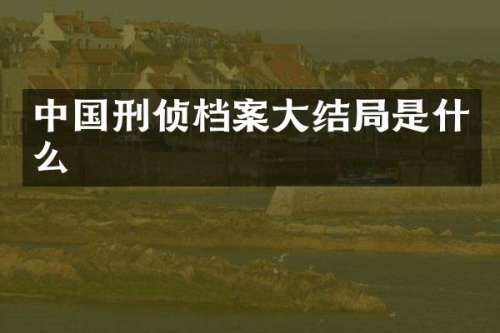 中国刑侦档案大结局是什么