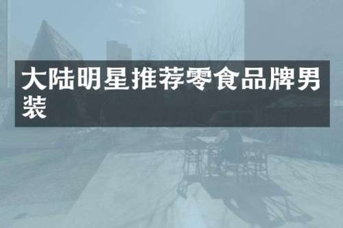 大陆明星推荐零食品牌男装