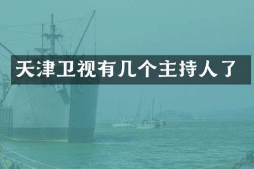 天津卫视有几个主持人了
