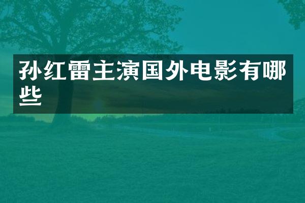 孙红雷主演国外电影有哪些